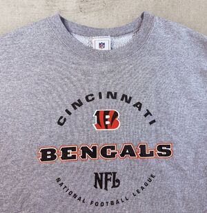 Vintage Cincinnati Bengals Spell Out Crewneck Men’s Large Gray Fleece NFL Y2K
